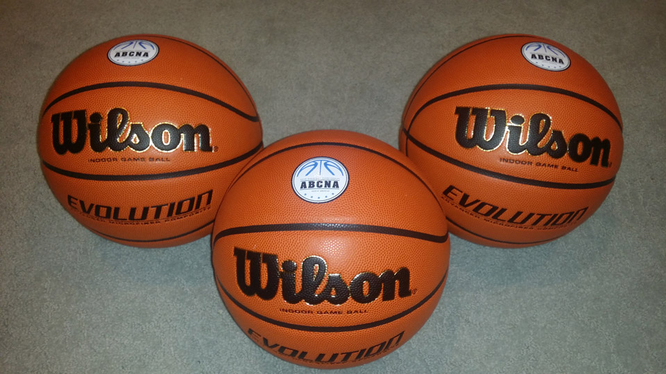Wilson Basketball ABCNA